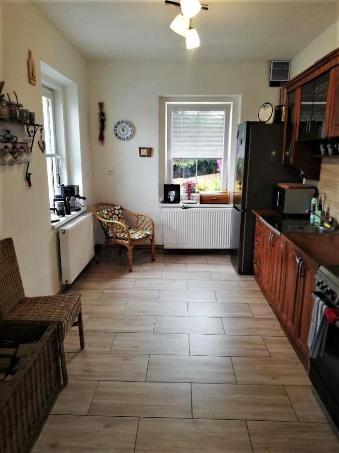 Ubytovani U Rybnicka Villa Arnoltice u Decina Dış mekan fotoğraf