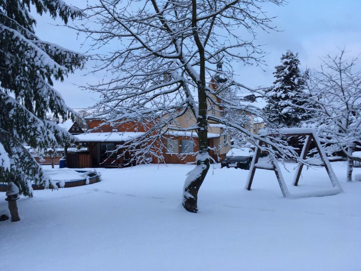 Ubytovani U Rybnicka Villa Arnoltice u Decina Dış mekan fotoğraf