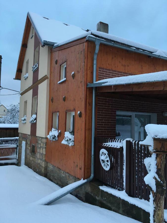 Ubytovani U Rybnicka Villa Arnoltice u Decina Dış mekan fotoğraf