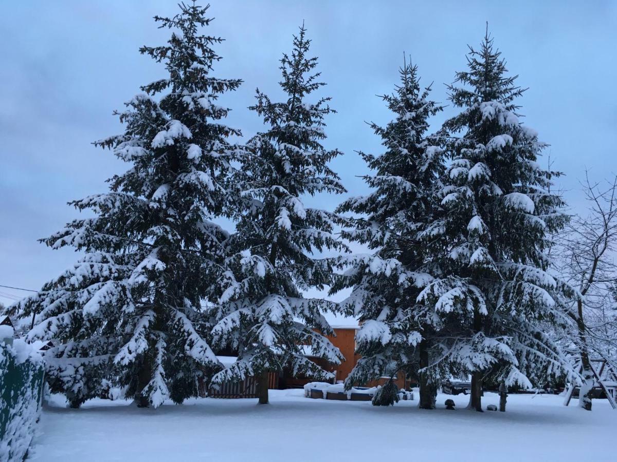 Ubytovani U Rybnicka Villa Arnoltice u Decina Dış mekan fotoğraf